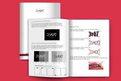 3v07-branding-book