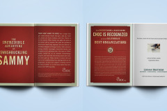 casestudy-dgwb-01-print-ads