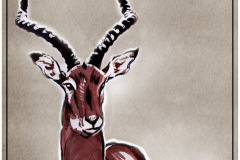 inktober-2017-01-swift-springbok